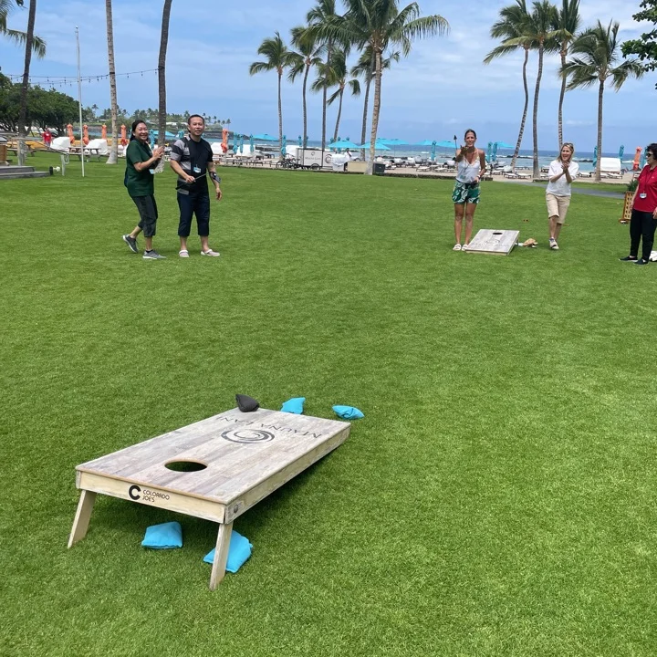 Pineapple-bags_desktop